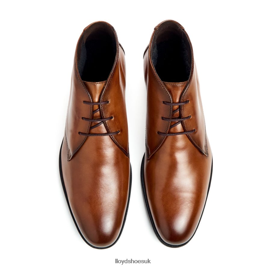 LLOYD Men FELICIANO H4BXXT54 Shoes brown