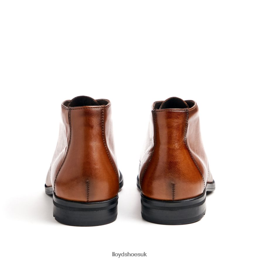 LLOYD Men FELICIANO H4BXXT54 Shoes brown