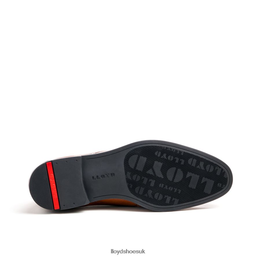 LLOYD Men FELICIANO H4BXXT54 Shoes brown