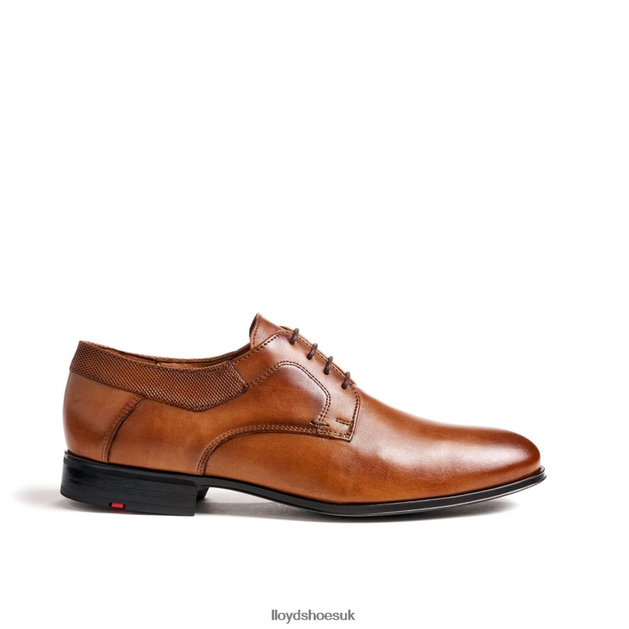 LLOYD Men LADOR H4BXXT91 Shoes brown