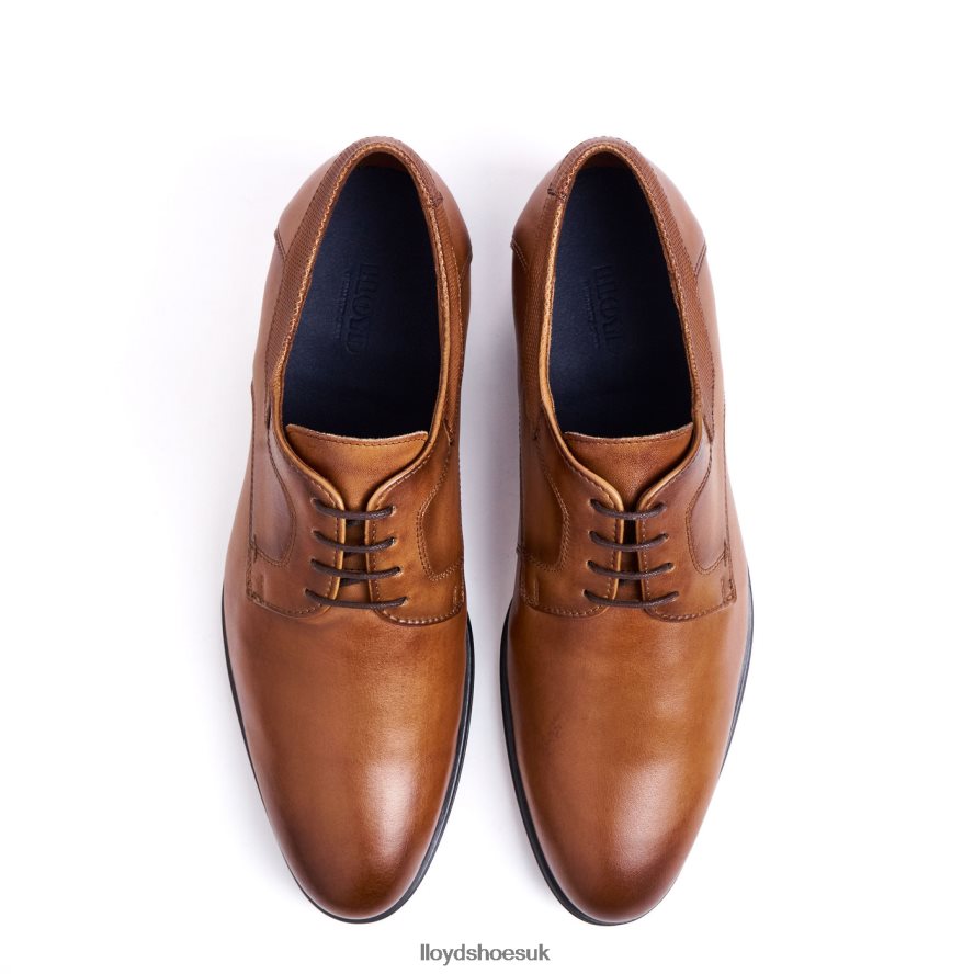 LLOYD Men LADOR H4BXXT91 Shoes brown