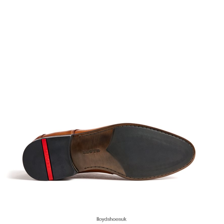 LLOYD Men LADOR H4BXXT91 Shoes brown