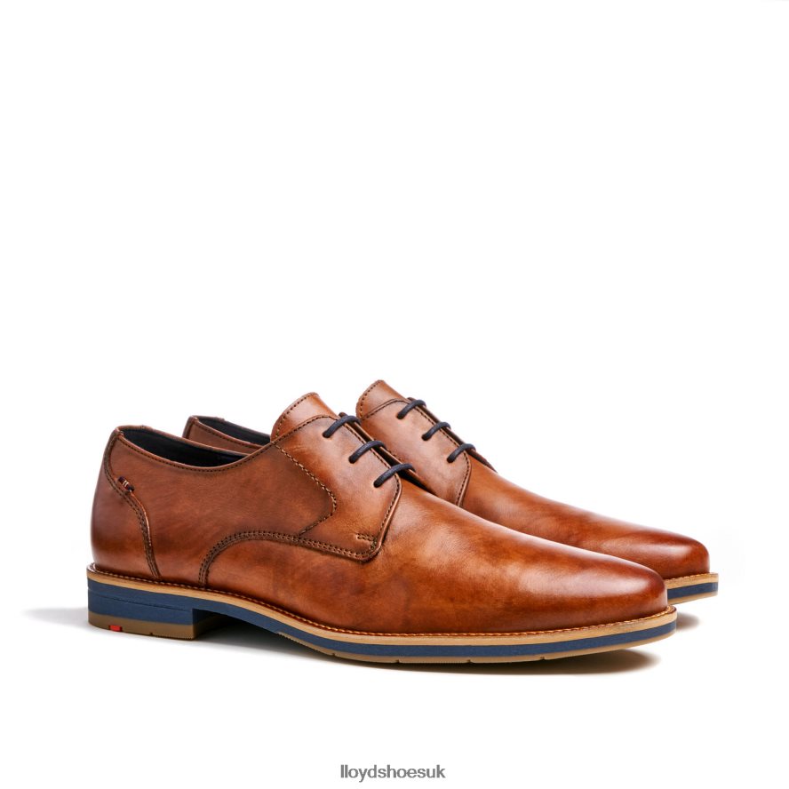 LLOYD Men LANGSTON H4BXXT27 Shoes brown