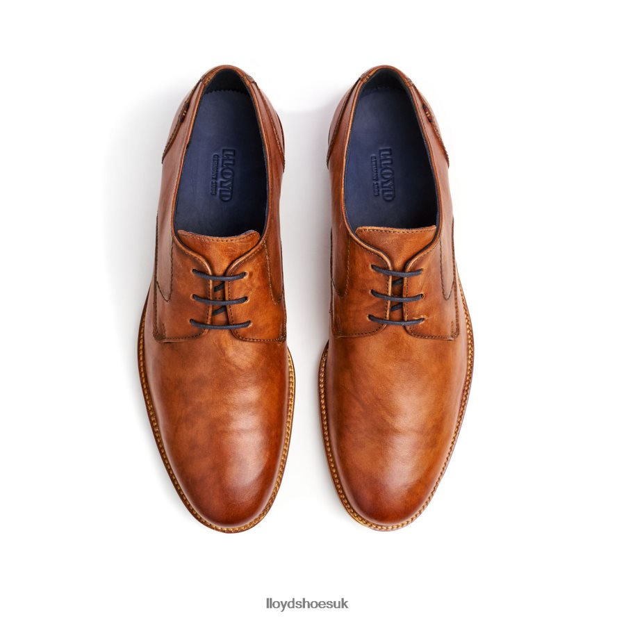 LLOYD Men LANGSTON H4BXXT27 Shoes brown