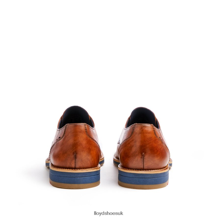 LLOYD Men LANGSTON H4BXXT27 Shoes brown