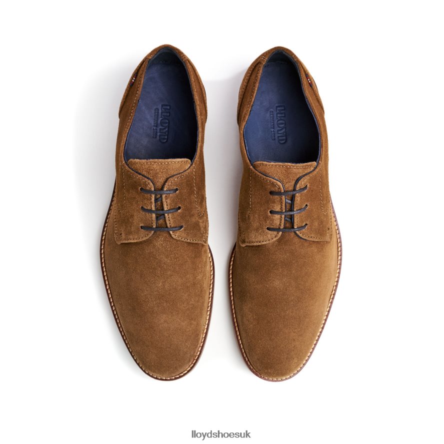 LLOYD Men LANGSTON H4BXXT88 Shoes brown