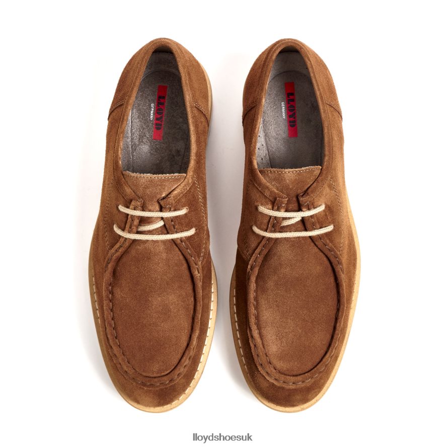 LLOYD Men LEVI H4BXXT210 Shoes brown