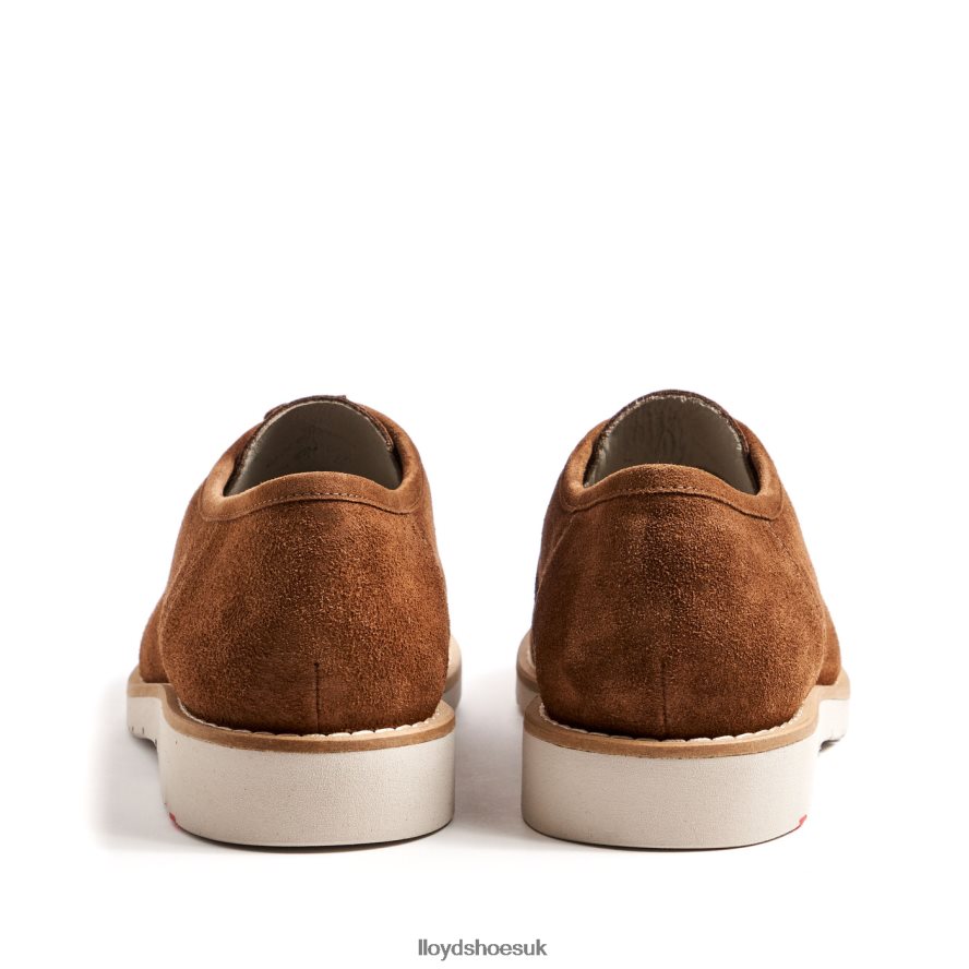 LLOYD Men LEVI H4BXXT210 Shoes brown