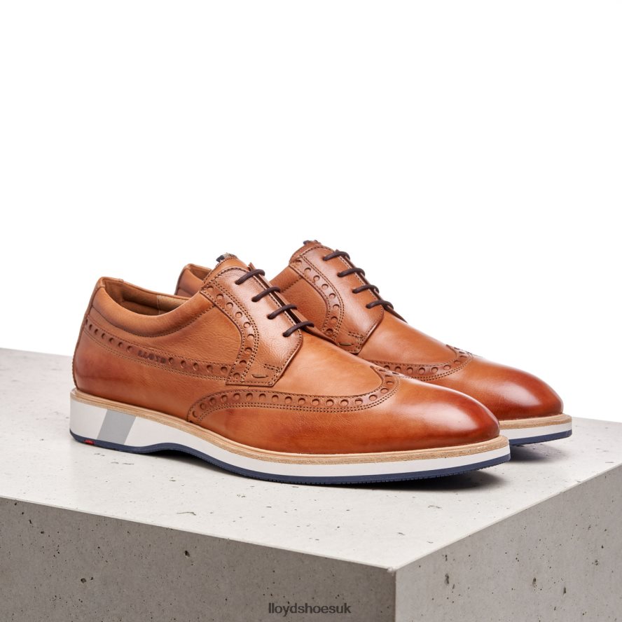 LLOYD Men NAFIR H4BXXT247 Shoes brown