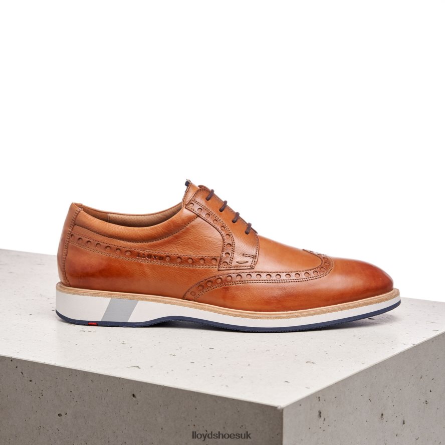 LLOYD Men NAFIR H4BXXT247 Shoes brown