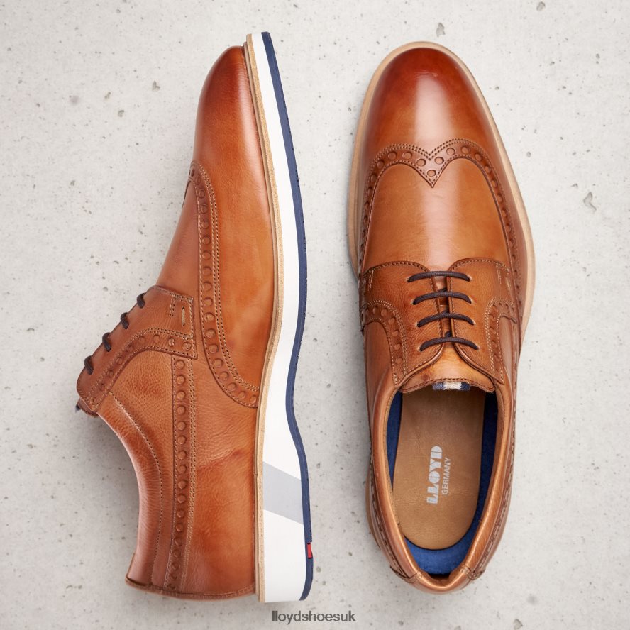 LLOYD Men NAFIR H4BXXT247 Shoes brown
