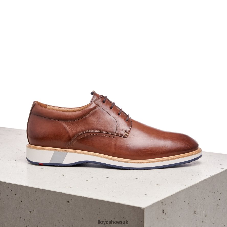 LLOYD Men NEPTUN H4BXXT218 Shoes brown