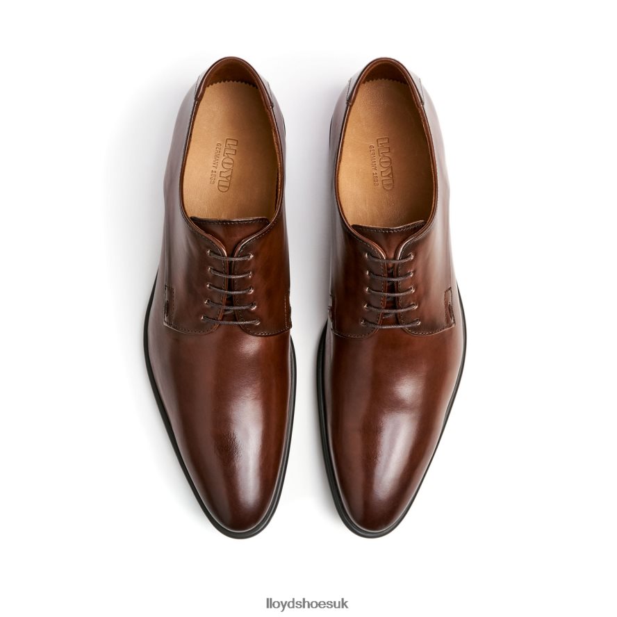 LLOYD Men NIK H4BXXT127 Shoes brown