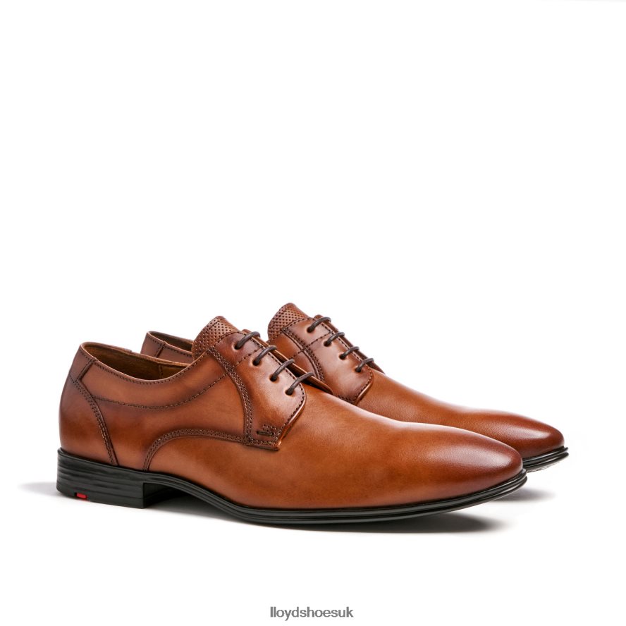LLOYD Men OSMOND H4BXXT84 Shoes brown