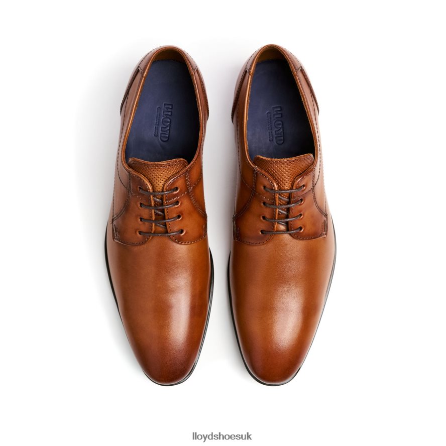 LLOYD Men OSMOND H4BXXT84 Shoes brown