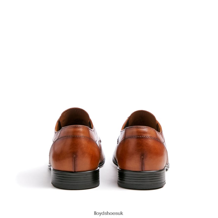 LLOYD Men OSMOND H4BXXT84 Shoes brown