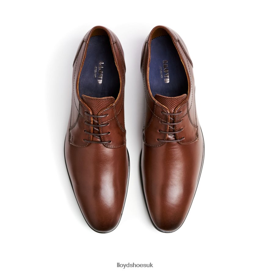 LLOYD Men OSMOND H4BXXT85 Shoes brown