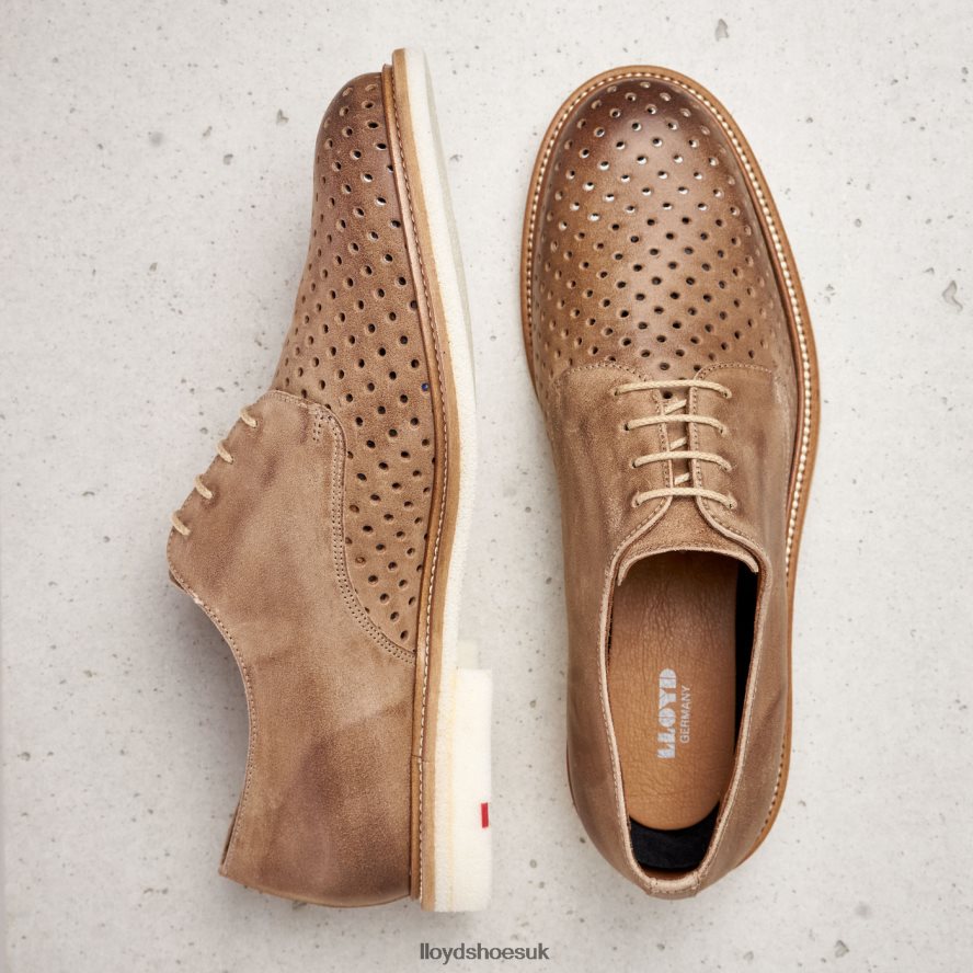 LLOYD Men PARKER H4BXXT213 Shoes brown
