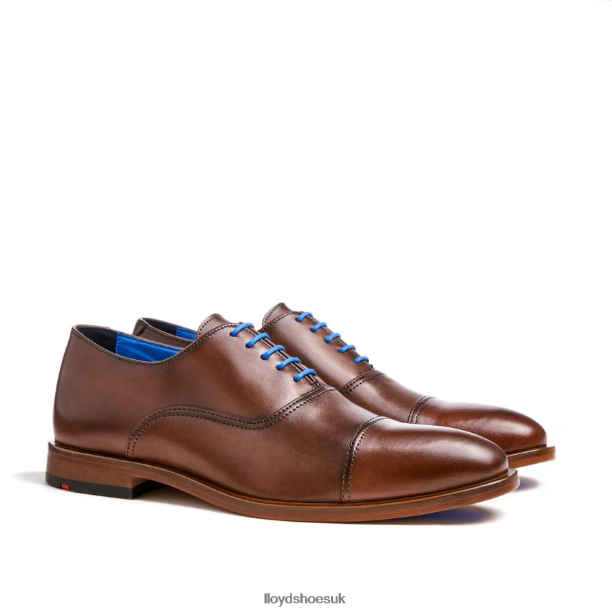 LLOYD Men ROB H4BXXT130 Shoes brown