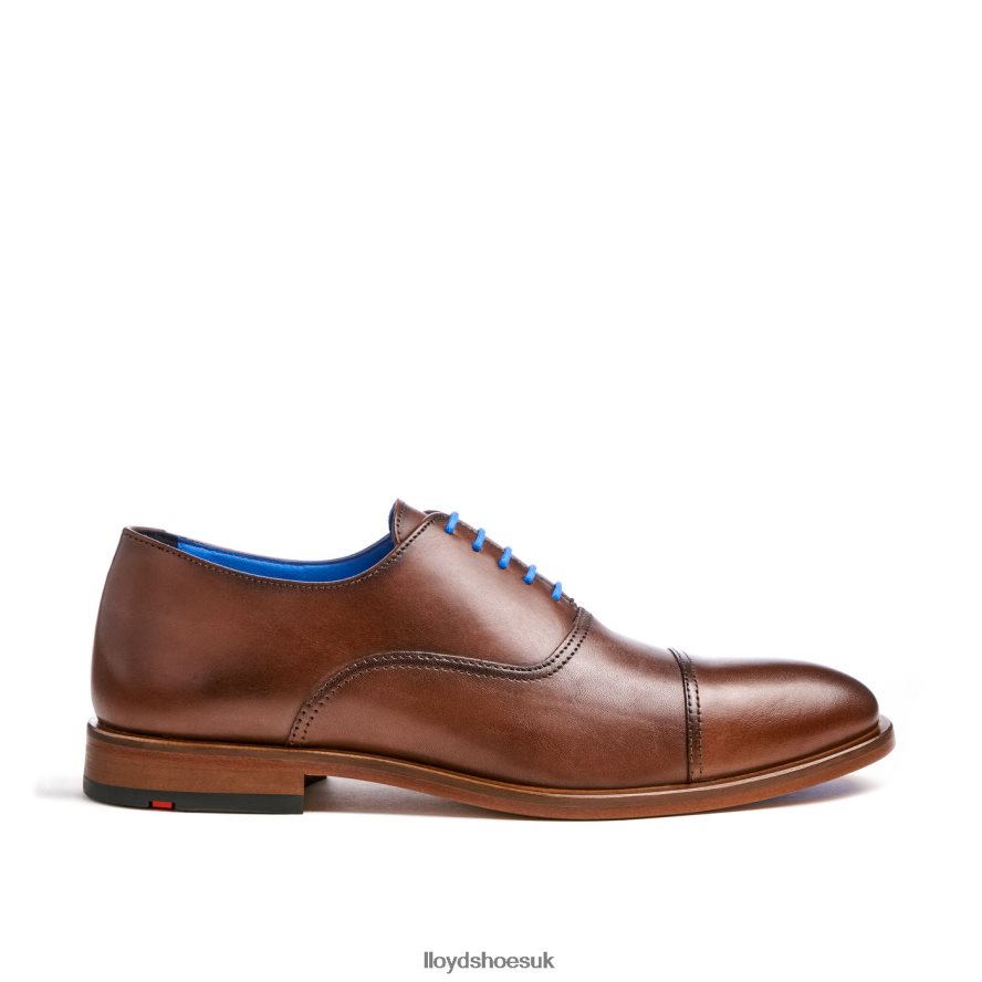 LLOYD Men ROB H4BXXT130 Shoes brown