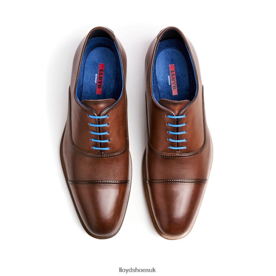 LLOYD Men ROB H4BXXT130 Shoes brown