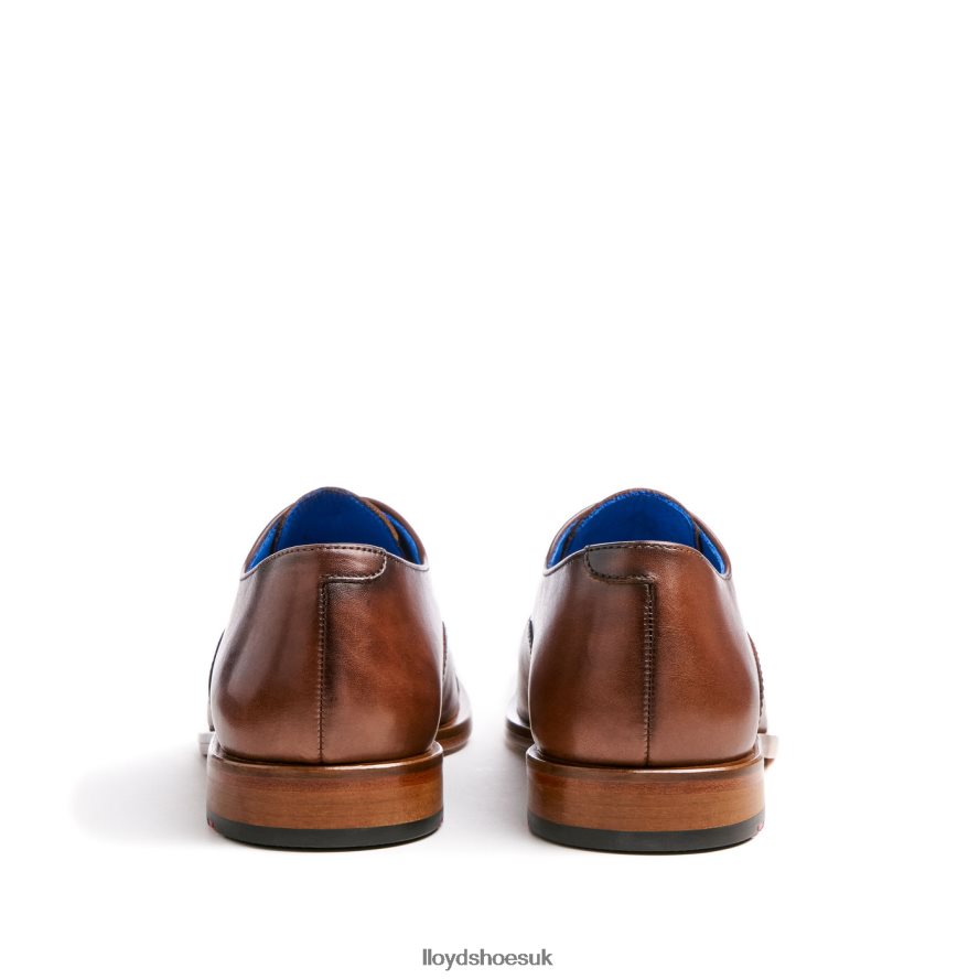 LLOYD Men ROB H4BXXT130 Shoes brown