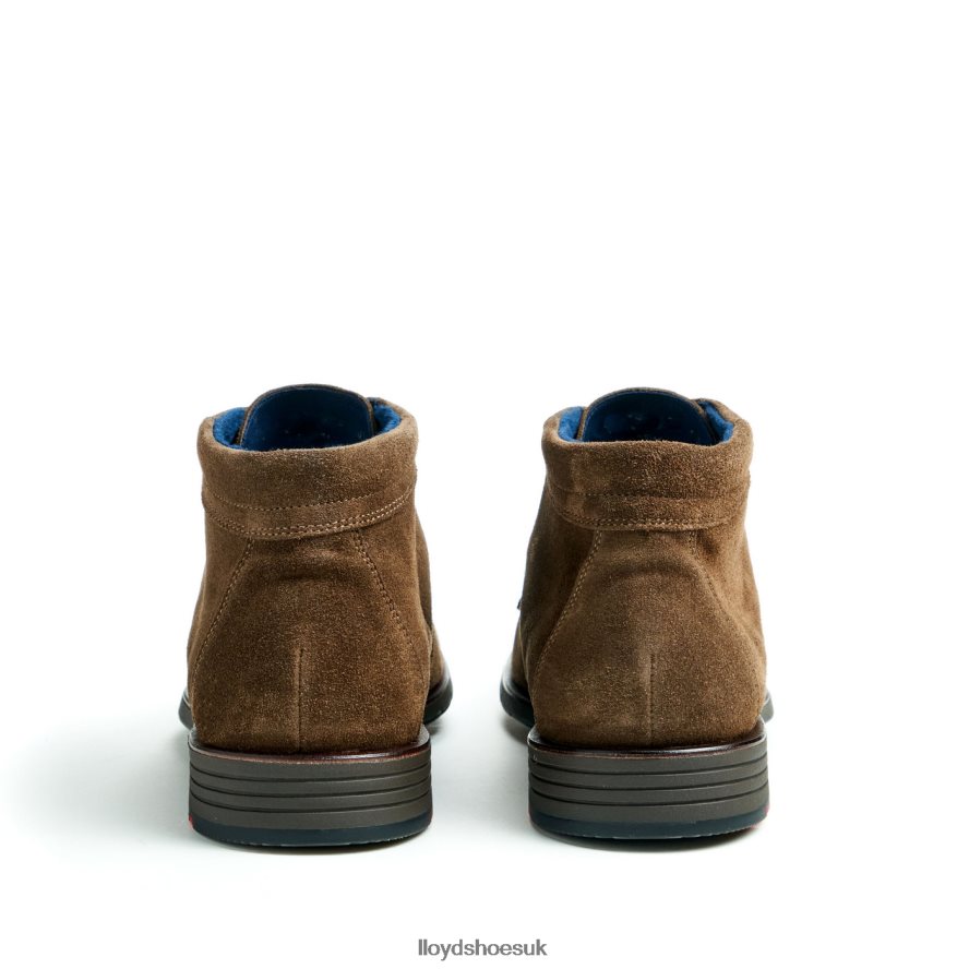 LLOYD Men TAMAR H4BXXT49 Shoes brown