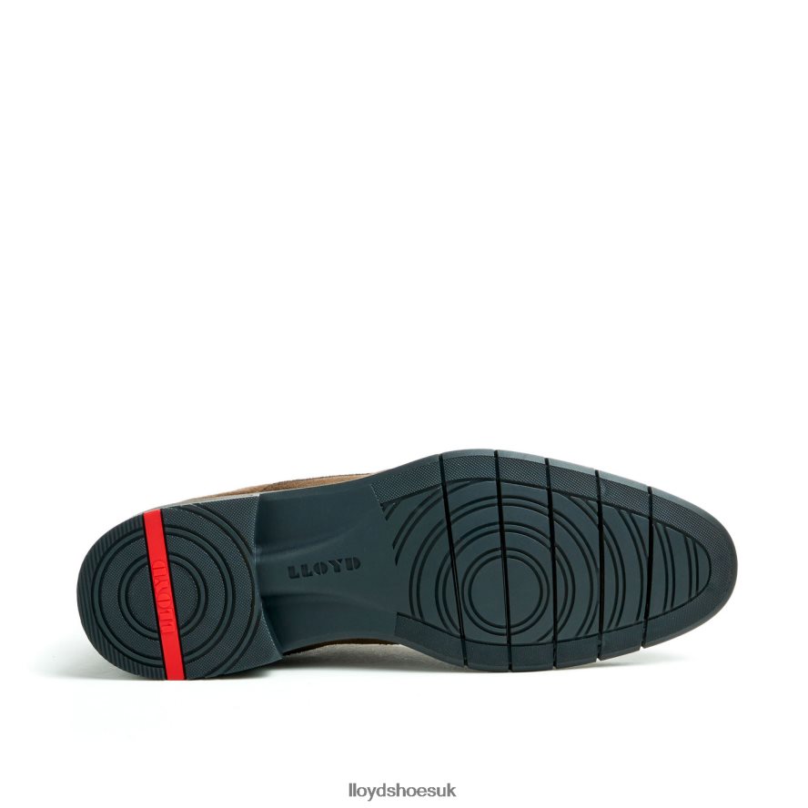 LLOYD Men TAMAR H4BXXT49 Shoes brown