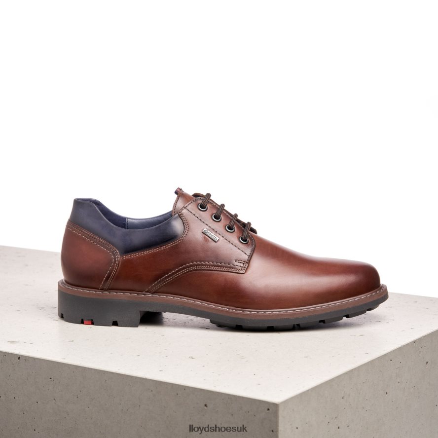 LLOYD Men VANJA H4BXXT576 Shoes brown