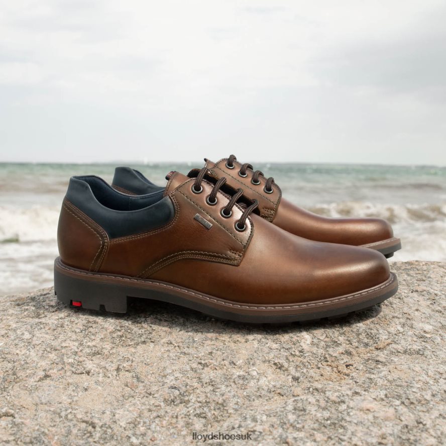 LLOYD Men VANJA H4BXXT576 Shoes brown