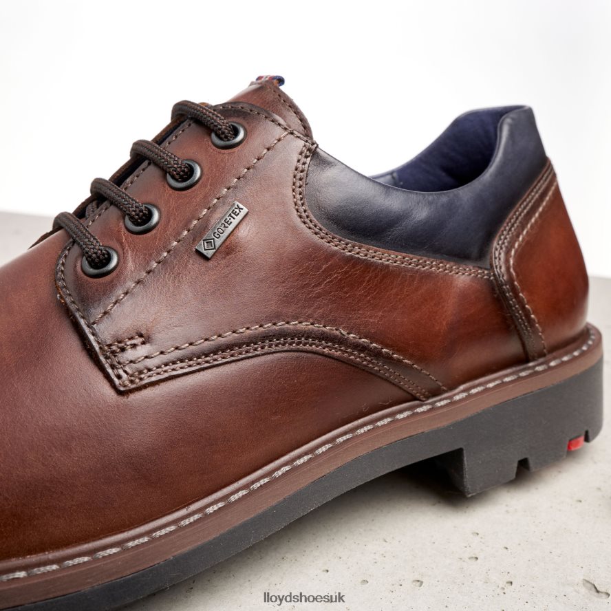 LLOYD Men VANJA H4BXXT576 Shoes brown