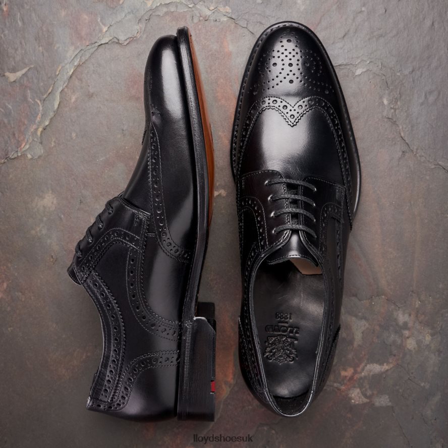 LLOYD Men WALTHAM H4BXXT70 Shoes black