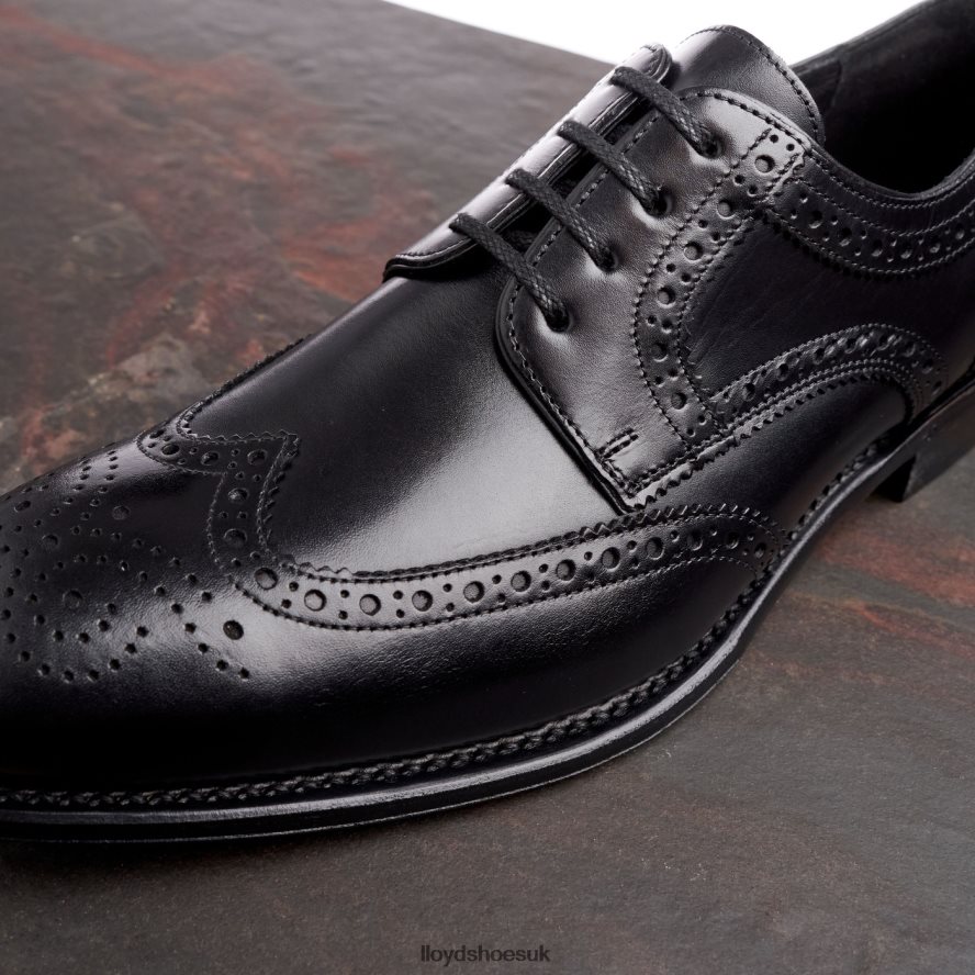 LLOYD Men WALTHAM H4BXXT70 Shoes black