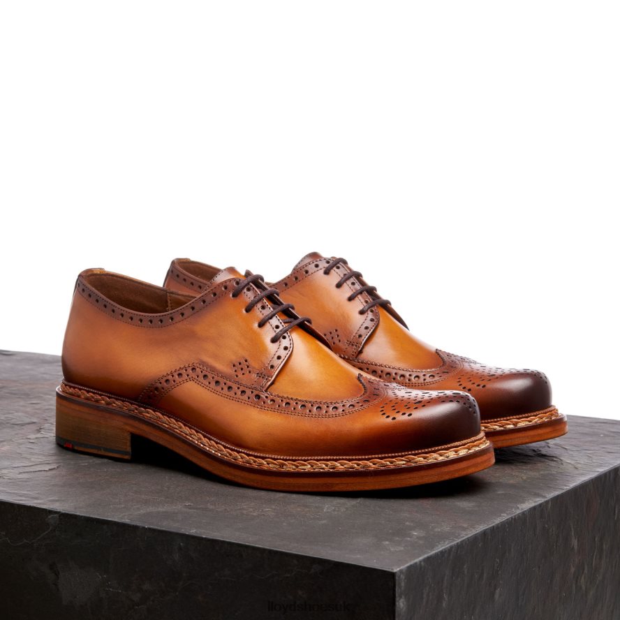 LLOYD Men WOTAN H4BXXT163 Shoes brown