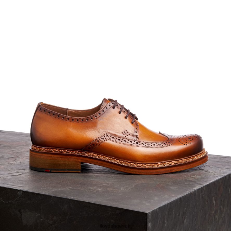 LLOYD Men WOTAN H4BXXT163 Shoes brown