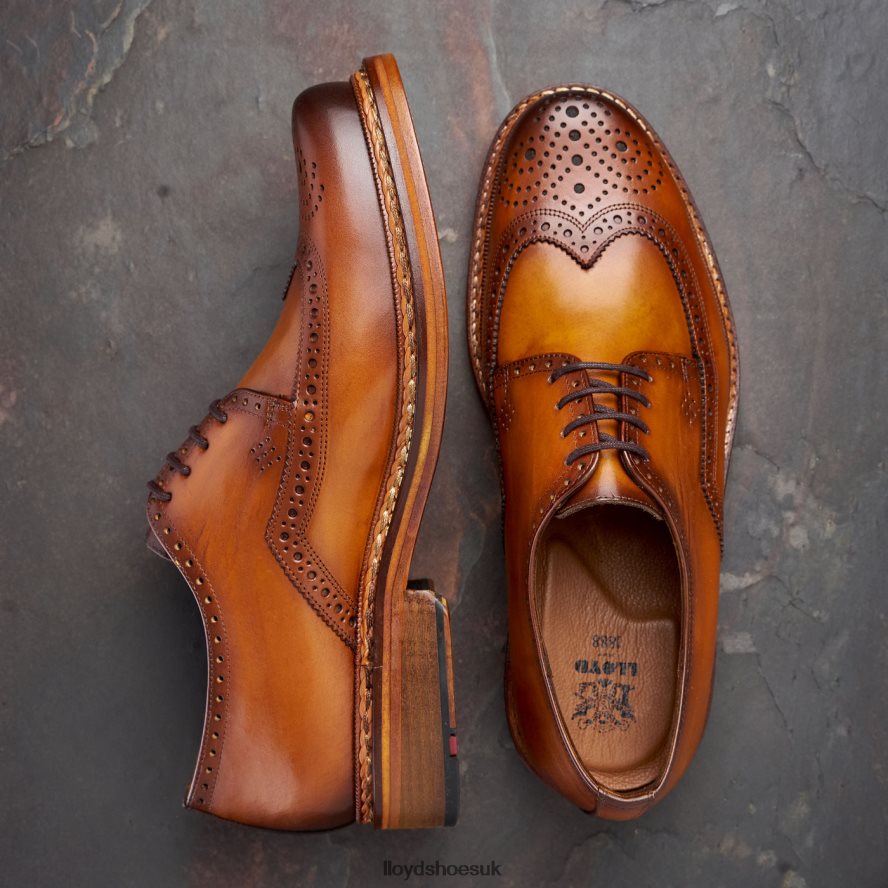 LLOYD Men WOTAN H4BXXT163 Shoes brown