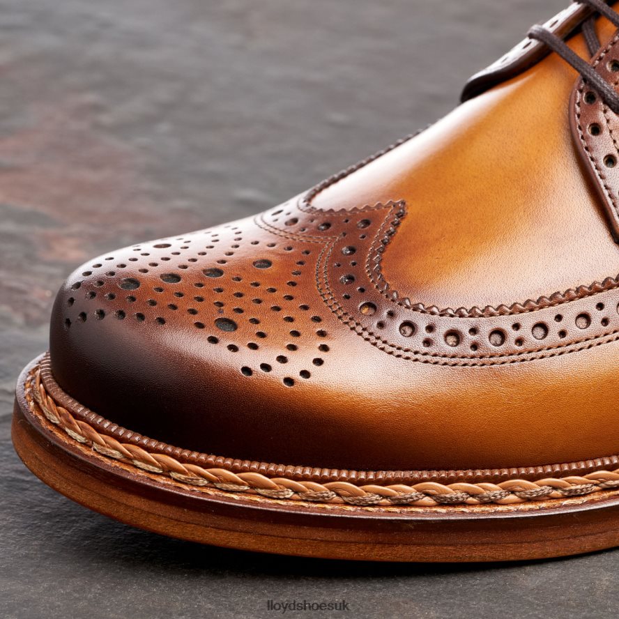 LLOYD Men WOTAN H4BXXT163 Shoes brown