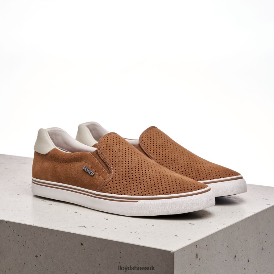 LLOYD Men ELDORET H4BXXT606 Shoes brown