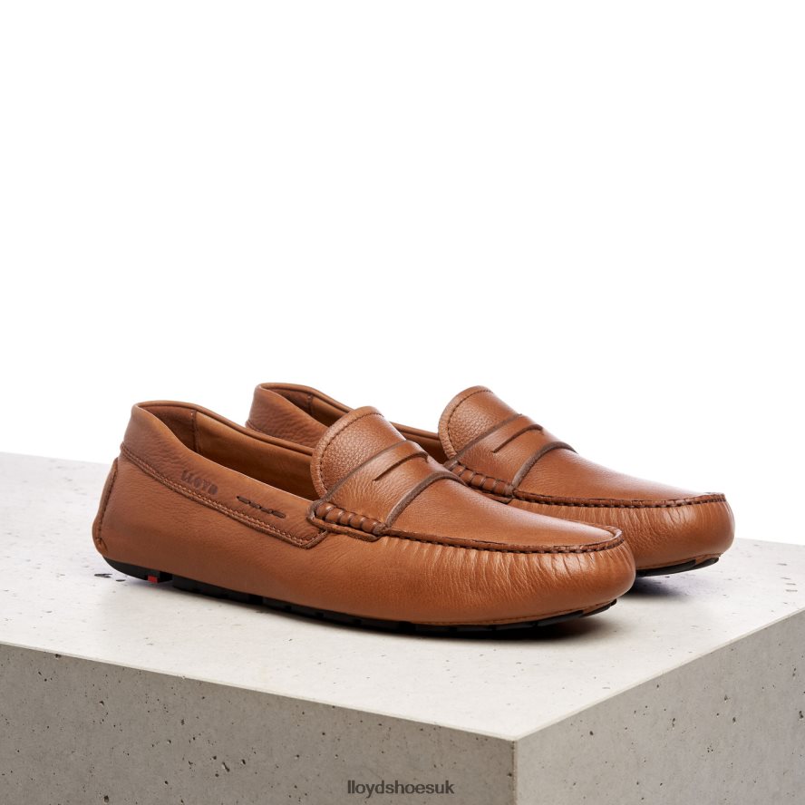 LLOYD Men EMMO H4BXXT610 Shoes brown
