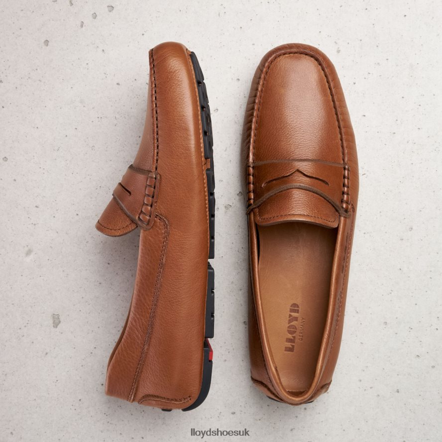 LLOYD Men EMMO H4BXXT610 Shoes brown