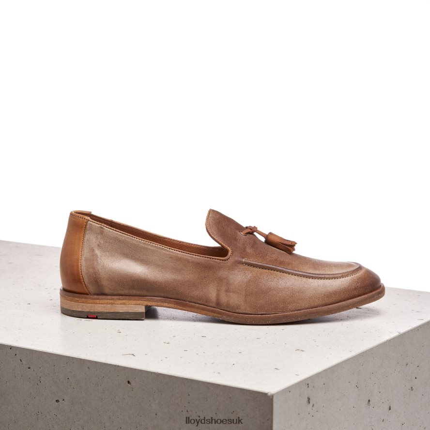 LLOYD Men ODAL H4BXXT590 Shoes brown
