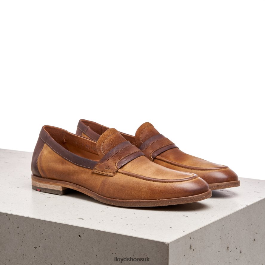 LLOYD Men OKTANT H4BXXT604 Shoes brown