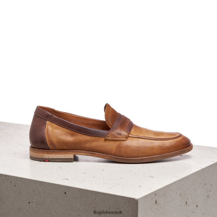 LLOYD Men OKTANT H4BXXT604 Shoes brown