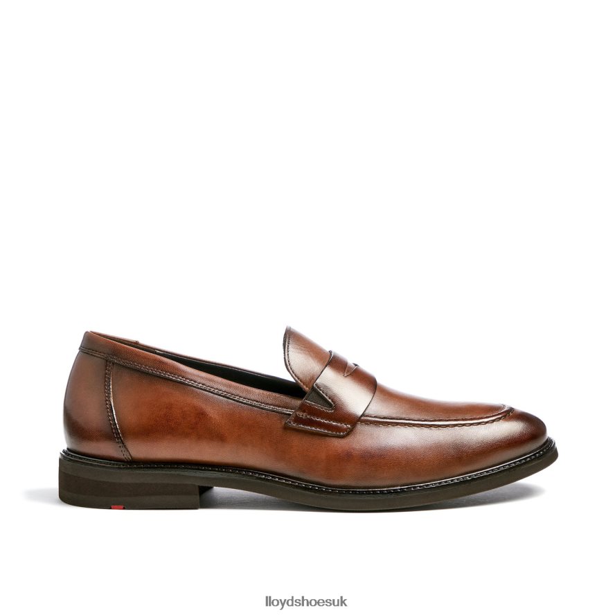 LLOYD Men REYNOLD H4BXXT56 Shoes brown