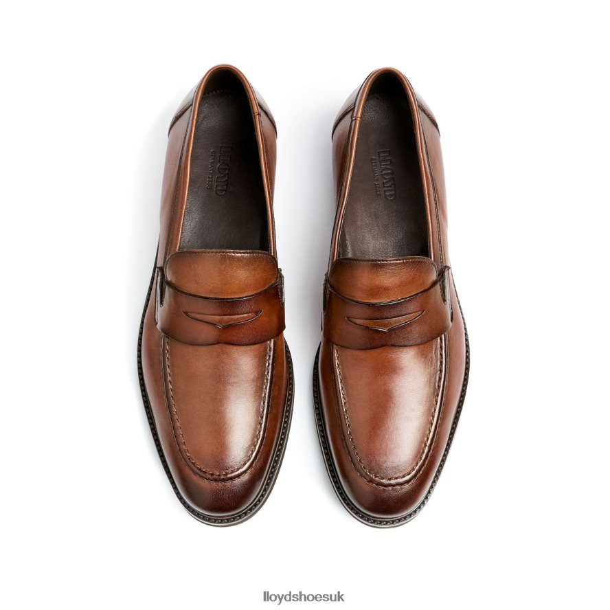 LLOYD Men REYNOLD H4BXXT56 Shoes brown