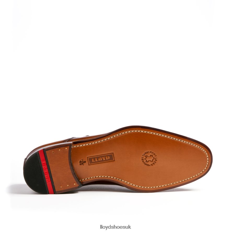 LLOYD Men SHEPPARD H4BXXT215 Shoes brown