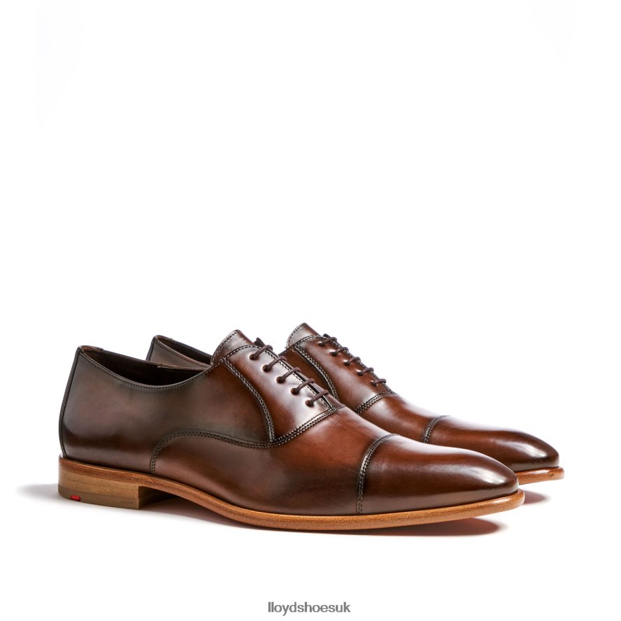 LLOYD Men PARCAS H4BXXT156 Shoes brown