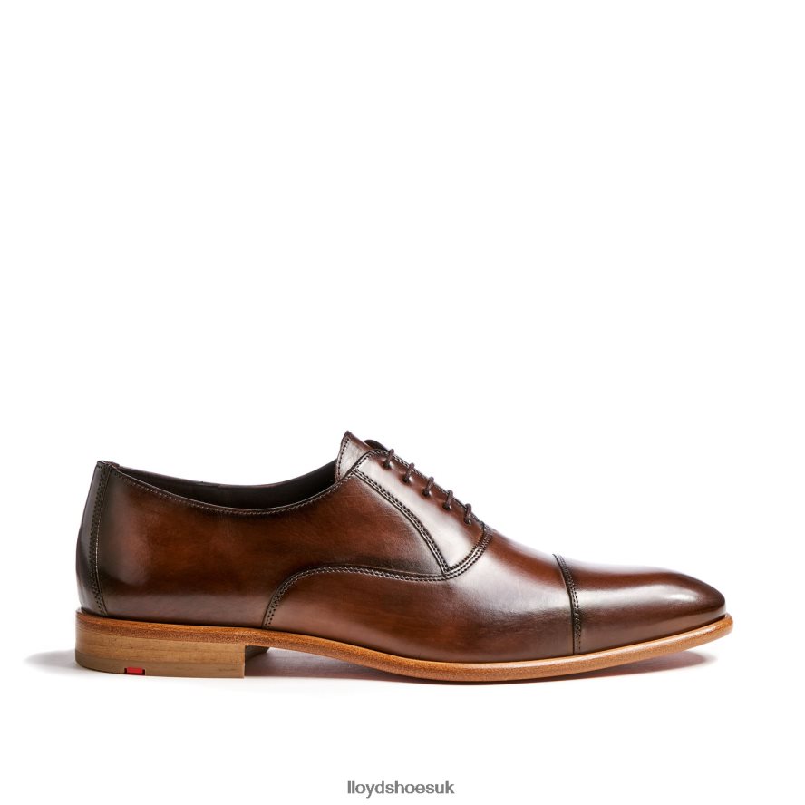 LLOYD Men PARCAS H4BXXT156 Shoes brown