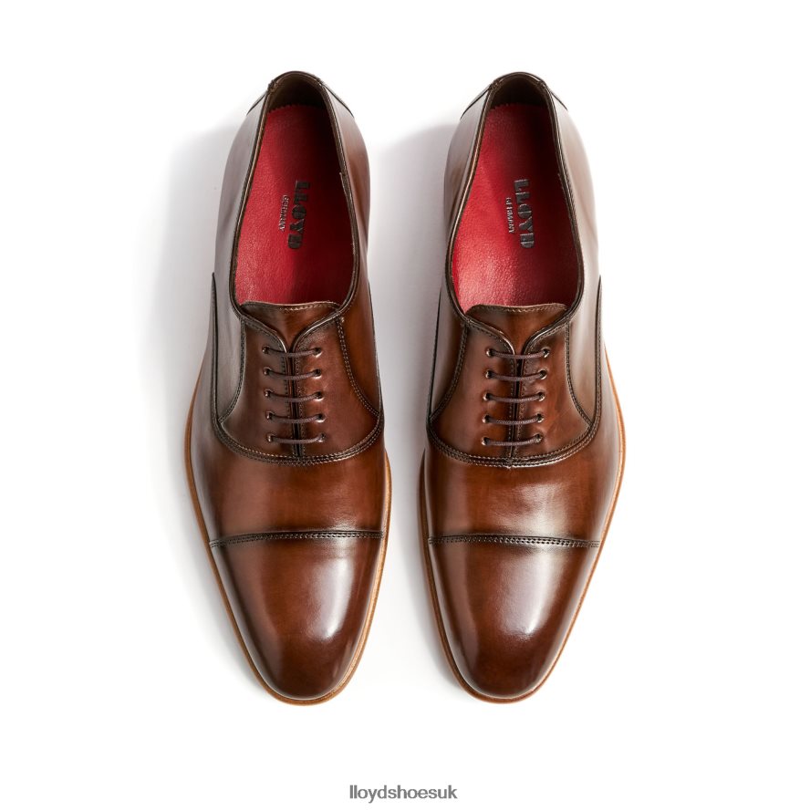 LLOYD Men PARCAS H4BXXT156 Shoes brown