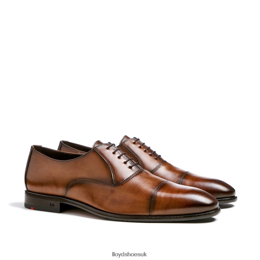 LLOYD Men POOL H4BXXT1 Shoes brown